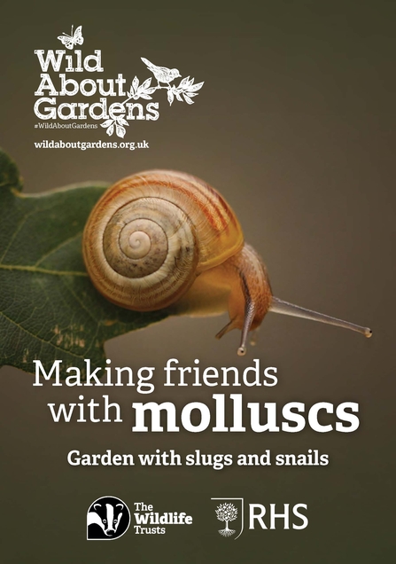 The cover of the 'Making friends with molluscs' booklet, with a snail perched on a leaf and the logos of Wild About Gardens, The Wildlife Trusts and the RHS