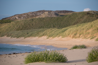 Coastal Dunes