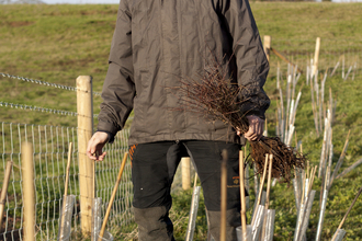 Andy stands by newly planted trees