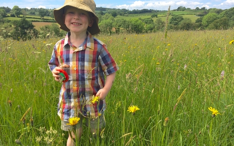 Bryn playing in a meadow