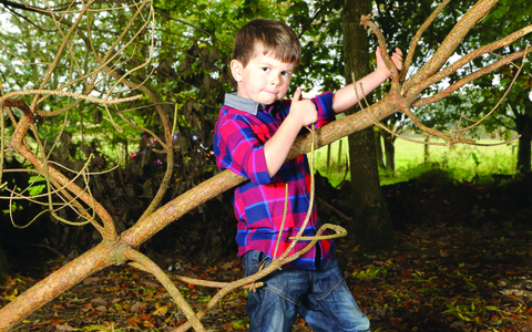 Ruaridh plays guitar on a tree branch