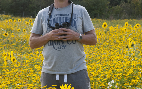 Iolo stands in a field of sunflowers