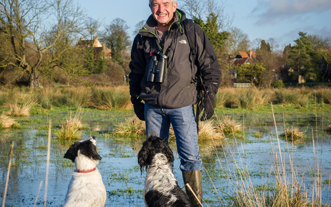 Tony stands in a wetland with his dogs