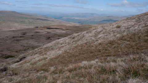 Upland acid grassland and rush pasture