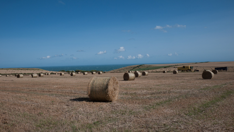 Arable field