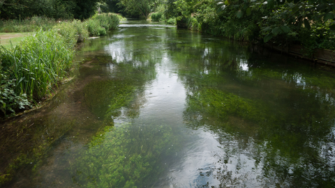 Chalk river