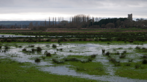 Coastal and floodplain grazing marsh