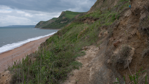 Maritime cliff