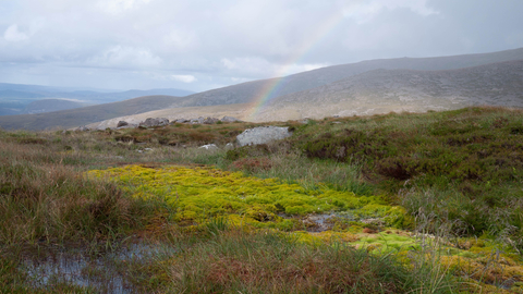 Upland spring, flush and fen