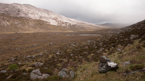 Blanket bog | Wild About Gardens