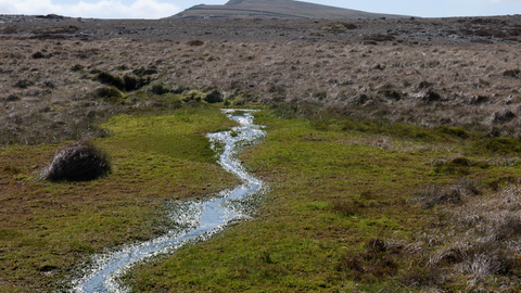 Upland spring, flush and fen