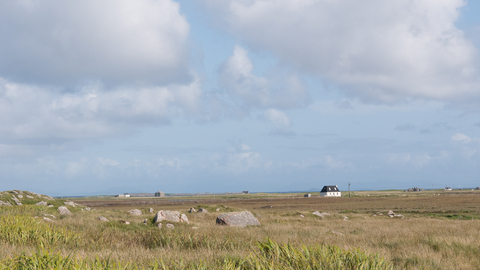 Machair