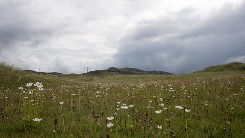 Machair