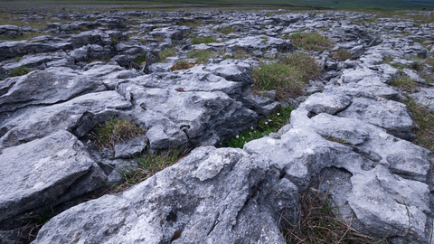 Limestone pavement