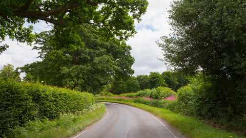 Hedgerows