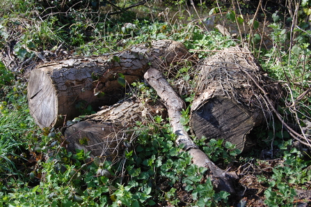 How to make a log pile