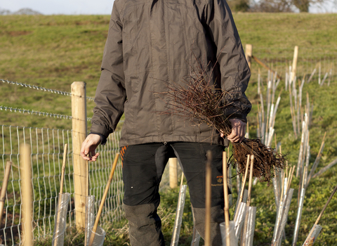 Andy stands by newly planted trees