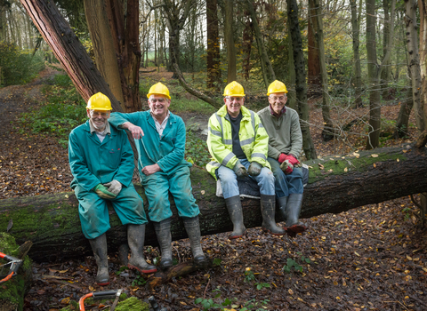 Mike, Bernard, John and John sat on a tree with hard hats on